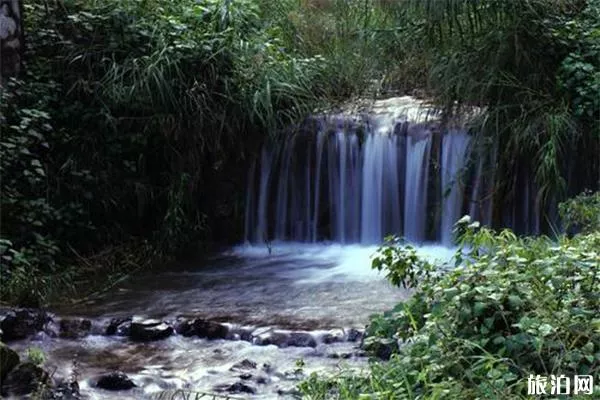 深溝森林公園景區(qū)介紹 深溝森林公園景區(qū)門(mén)票-交通指南