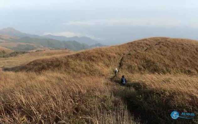 天仙草原游記 恭城燕子山天仙草原徒步攻略