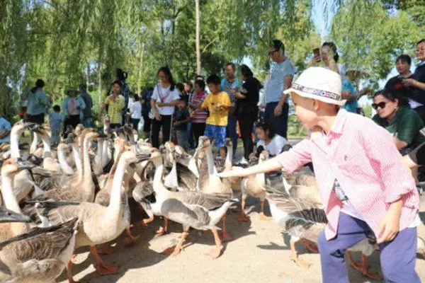 西沙明珠湖景區(qū)四季游玩攻略