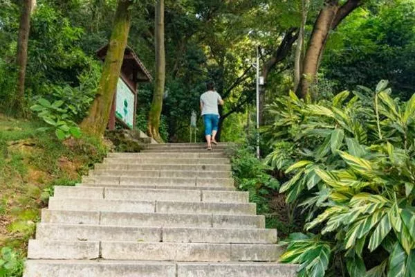 深圳鳳凰山可以開車上山頂嗎