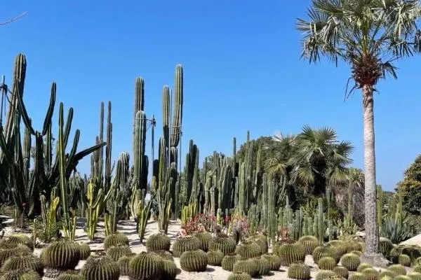 廈門萬石植物園開放時間最新