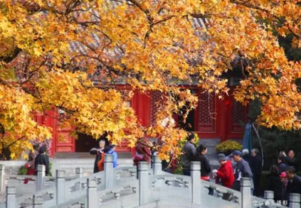 香山公園什么時候去最好  香山公園門票是多少