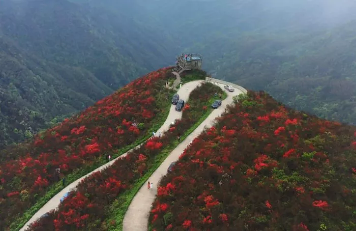 <a href='/yangmingshan/' target=_blank>陽(yáng)明山</a>