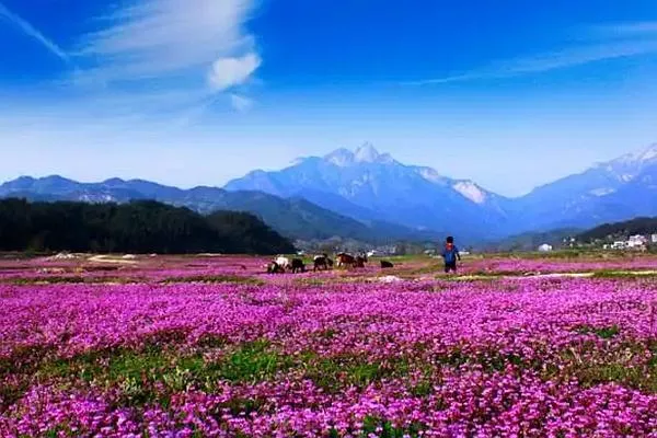 羅田燕兒谷景區(qū)游玩攻略 門票、住宿、最佳游玩時間都在這了