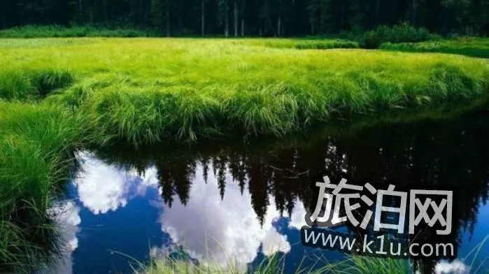 馬踏湖金絲鴨蛋的特點(diǎn) 馬踏湖<a href='http://www.authenticallynatalie.com/' target=_blank>旅游攻略</a>