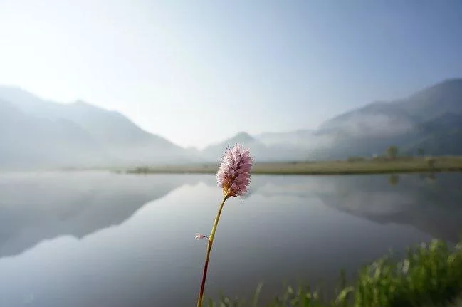 神農(nóng)架有什么好玩的地方 神農(nóng)架有野人嗎